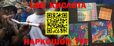 винт Новокубанск