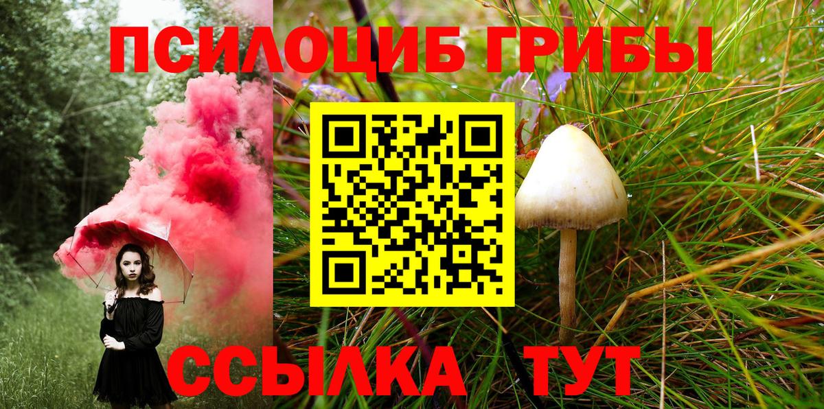 Галлюциногенные грибы прущие грибы  Галлюциногенные грибы Cubensis  Дальнегорск  Вход с VPN 